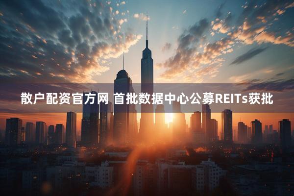 散户配资官方网 首批数据中心公募REITs获批