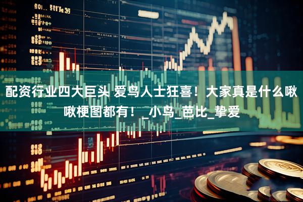 配资行业四大巨头 爱鸟人士狂喜！大家真是什么啾啾梗图都有！_小鸟_芭比_挚爱